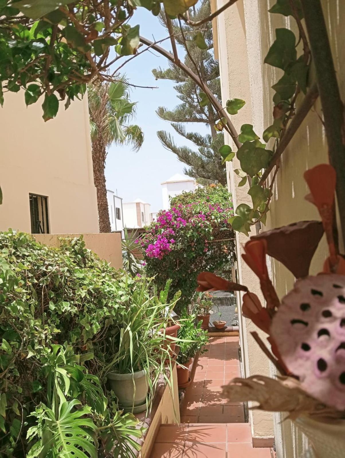 Casa Noray 18 Apartment Playa Honda  Ngoại thất bức ảnh